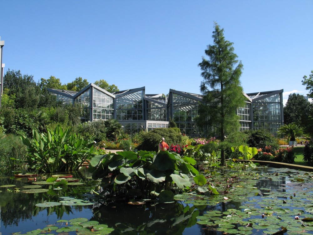 Ogród Botaniczny Poznań Ceny Biletów