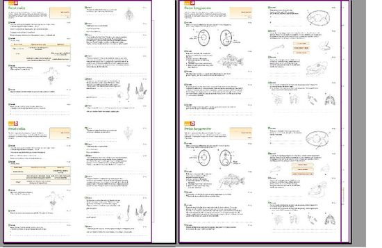 Test Z Biologii Klasa 6 Dzial 1 Puls Zycia