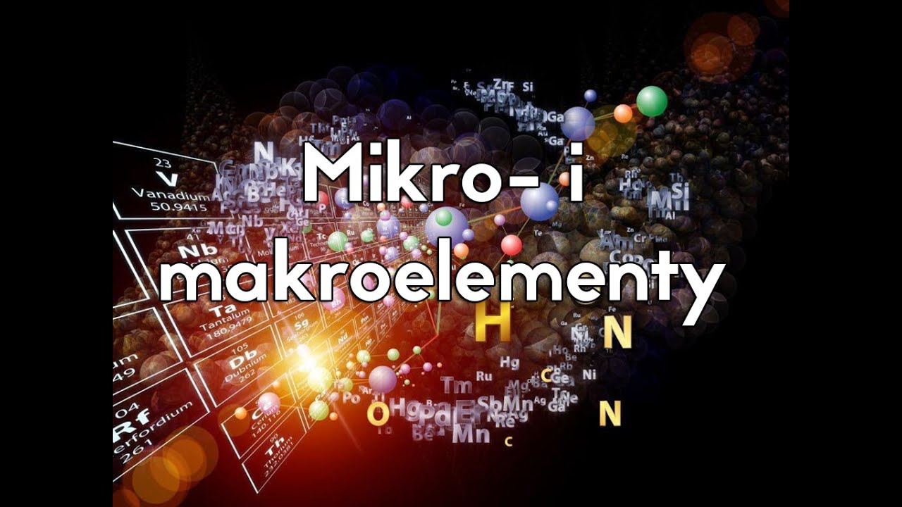 Mikro- i makroelementy - funkcje i skutki niedoboru - YouTube Mikro I Makro Otoczenie Przedsiębiorstwa