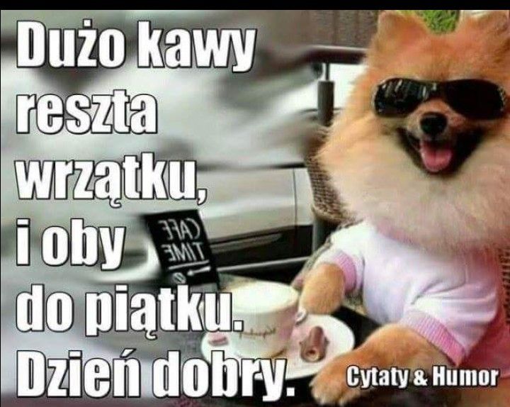 Miłego dnia | Gif divertenti, Divertente, Gif Milego Dnia Memy Na Dzien Dobry