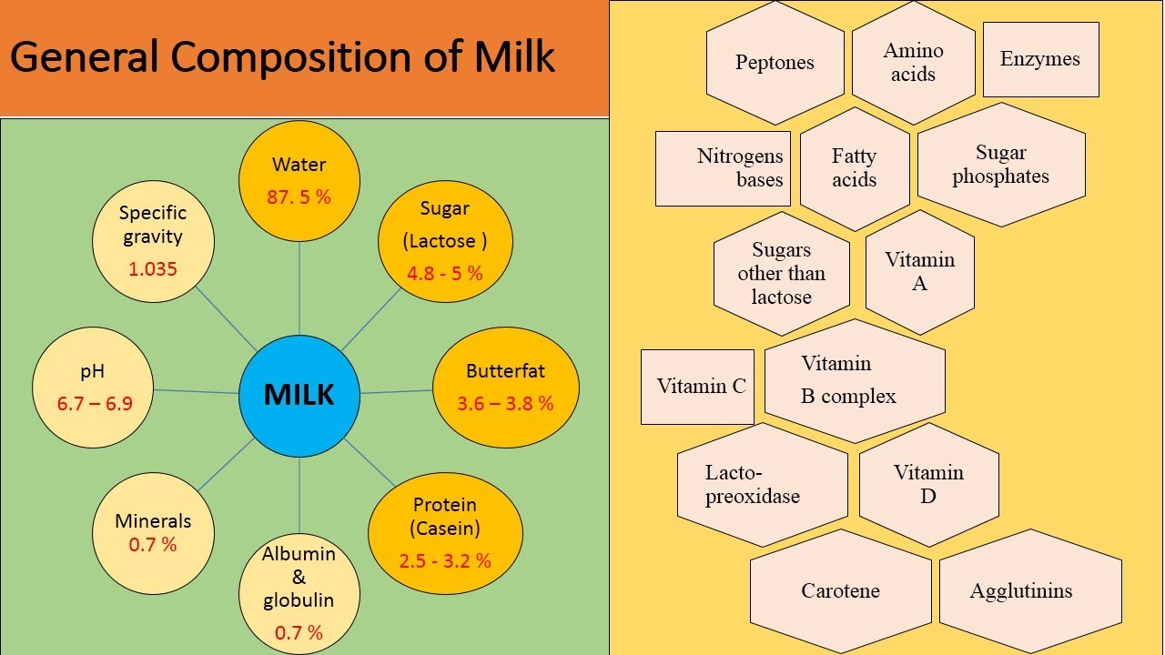 Milk Microbiology Part 1 Composition of Milk - YouTube Which Component Of Milk Causes Caramelization When Heated