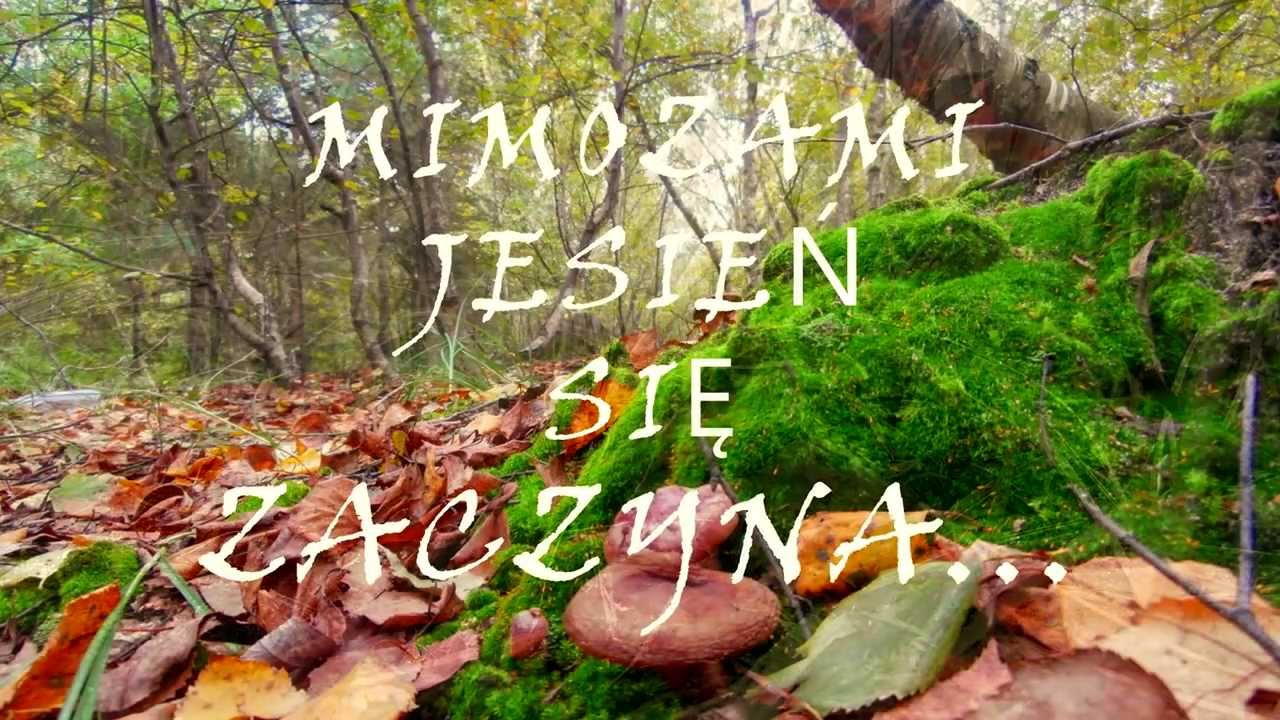 Mimozami jesień się zaczyna... - YouTube Mimozami Jesien Sie Zaczyna Tekst