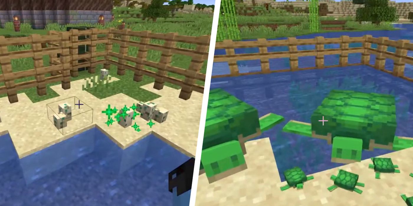 How To Get Turtle Eggs Without Silk Touch