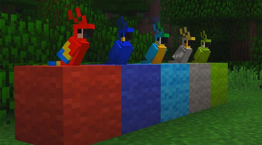 Minecraft - Jak oswoić papugi Jak Rozmnożyć Papugi W Minecraft