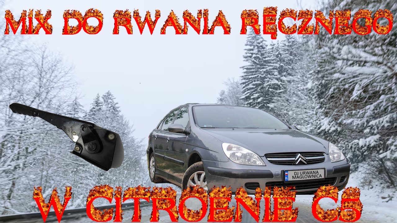 Jaki Jest Najdłuższy Wąż Na świecie