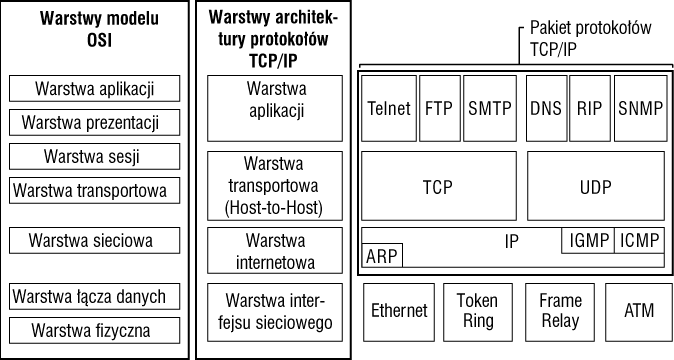 Model ISO/OSI w Sieciach komputerowych Która Warstwa Modelu Iso Osi Jest Związana Z Protokołem Ip