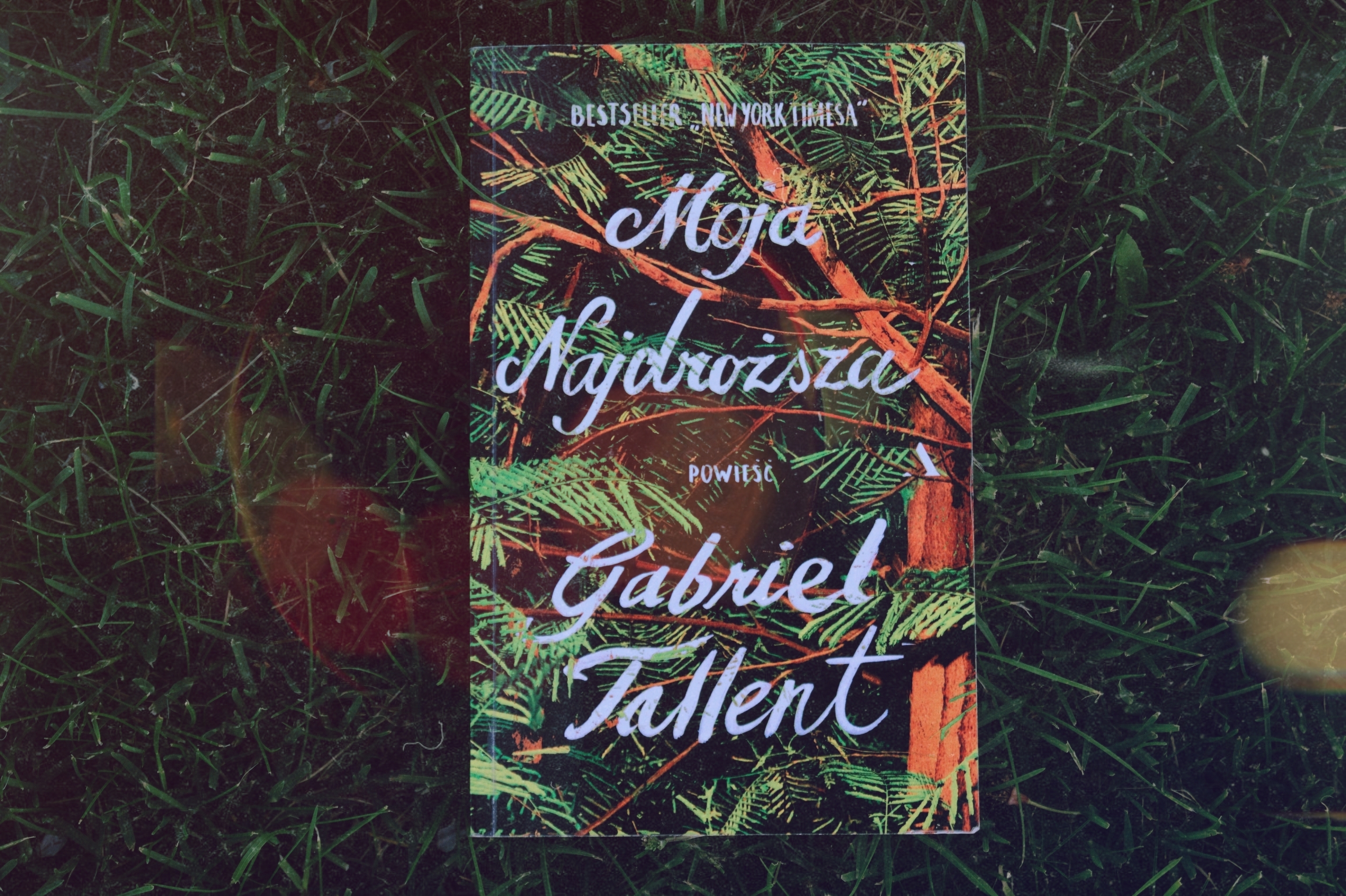 Moja Najdroższa Gabriel Tallent Pdf