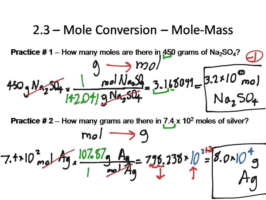 Make Your Escape Mole Conversions Answer Key