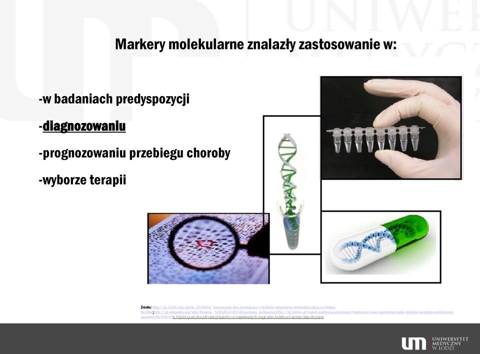 Wymień Kolejne Ogniwa łańcucha Przeżycia