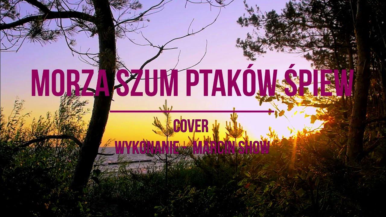 Muzyka Spiew Ptakow Szum Morza