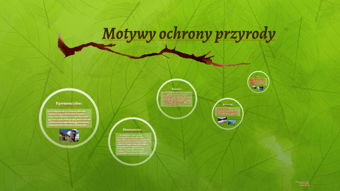 Scharakteryzuj Krótko Motywy Ochrony Przyrody