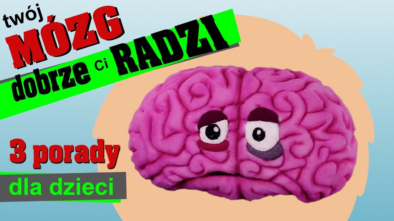 Mozgowie Dzielimy Na Trzy Czesci Mozg Mozdzek
