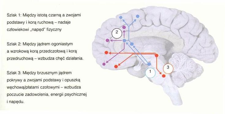 Zaburzenia Percepcji Słuchowej U Dzieci Objawy