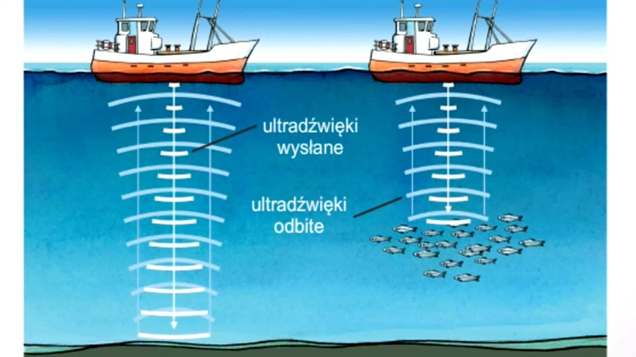 Echosonda Na Statku Wysłała Sygnał Który Wrócił Po 8 Sekundach