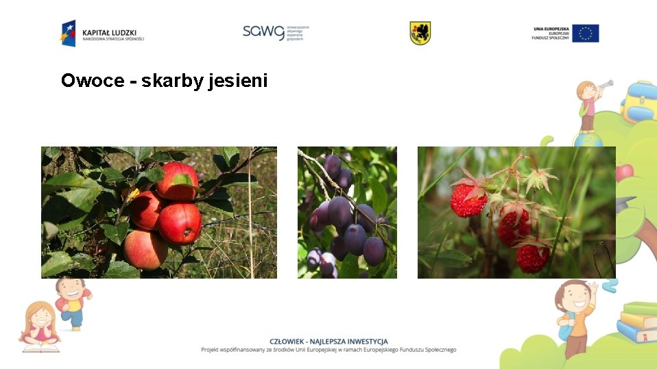 Owoce Scenariusz Zajęć 3 Latki