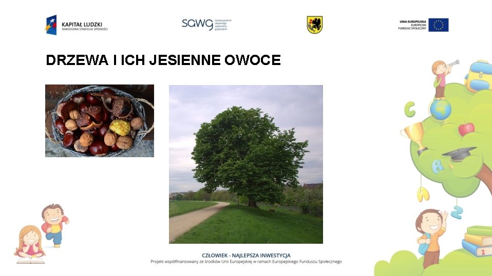 MULTIMEDIALNY SCENARIUSZ ZAJ Edukacja przyrodnicza Poziom klasa I Scenariusz Zajęć Dla 4 Latków Wiosna