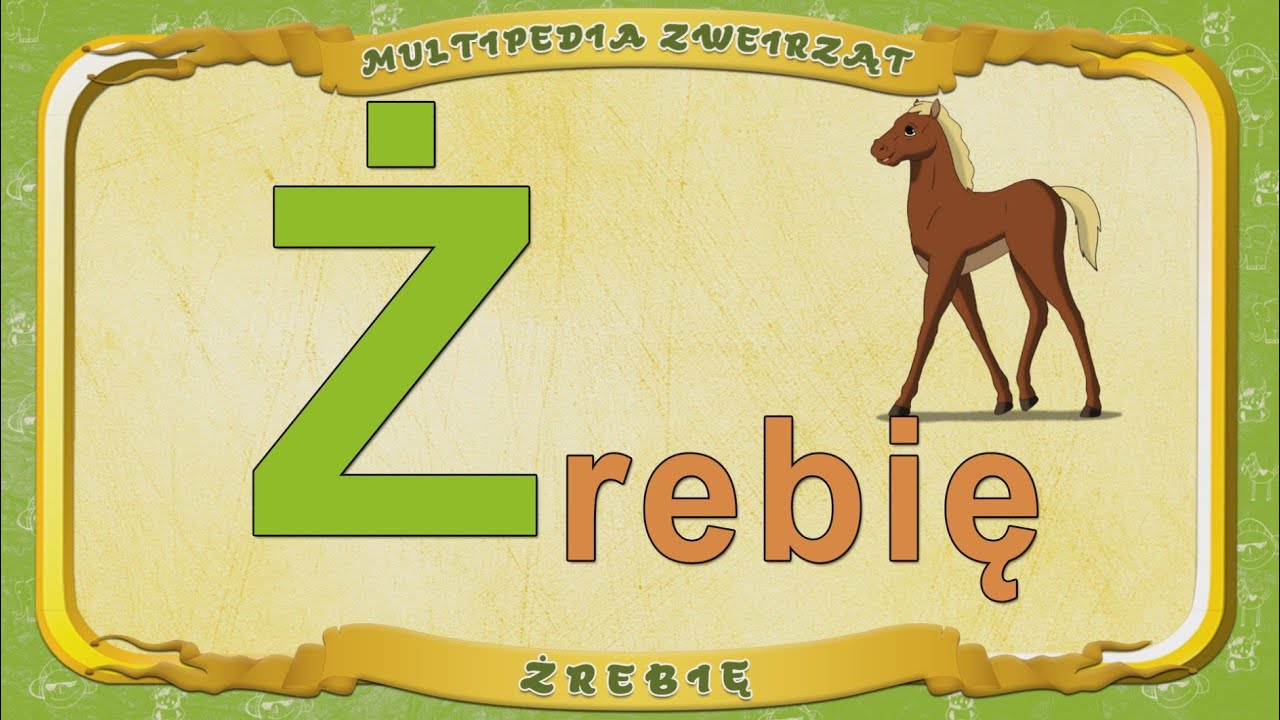 Czy W Nazwie Spółki Cywilnej Muszą Być Nazwiska