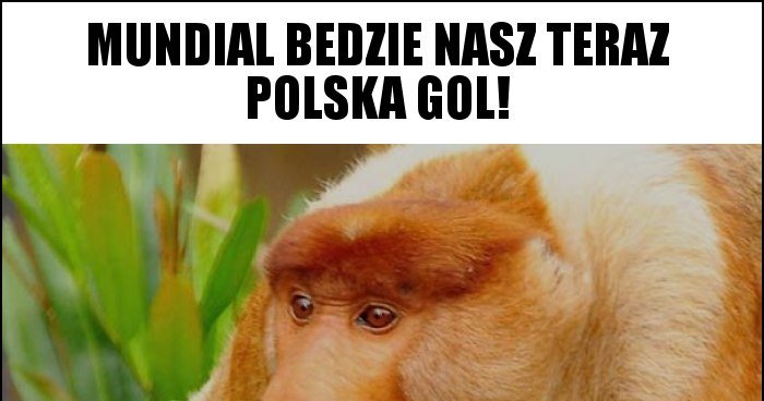 Mundial bedzie nasz teraz polska gol! memy, gify i śmieszne obrazki Mundial Będzie Nasz Teraz Polska Gol