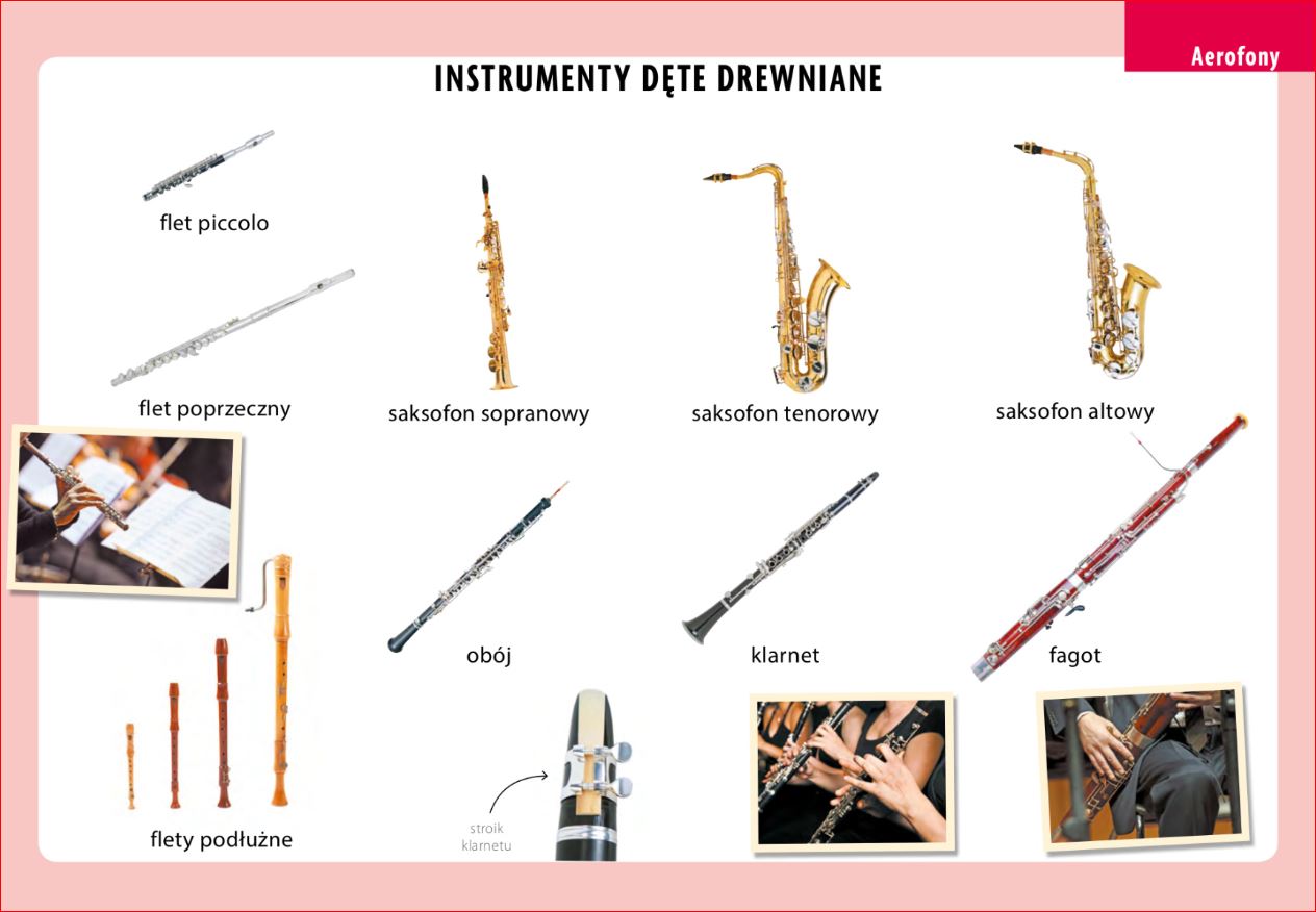 Instrumenty Dęte Drewniane I Blaszane Sprawdzian