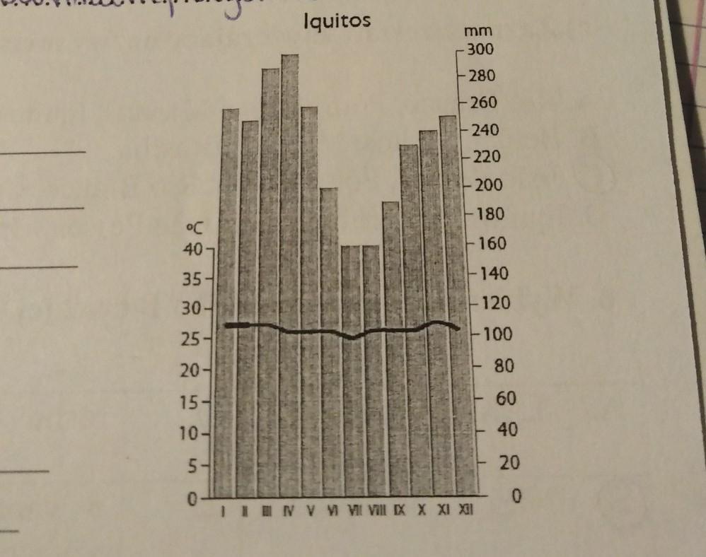 Na Podstawie Klimatogramu Podaj Trzy Cechy Klimatu Amazonii