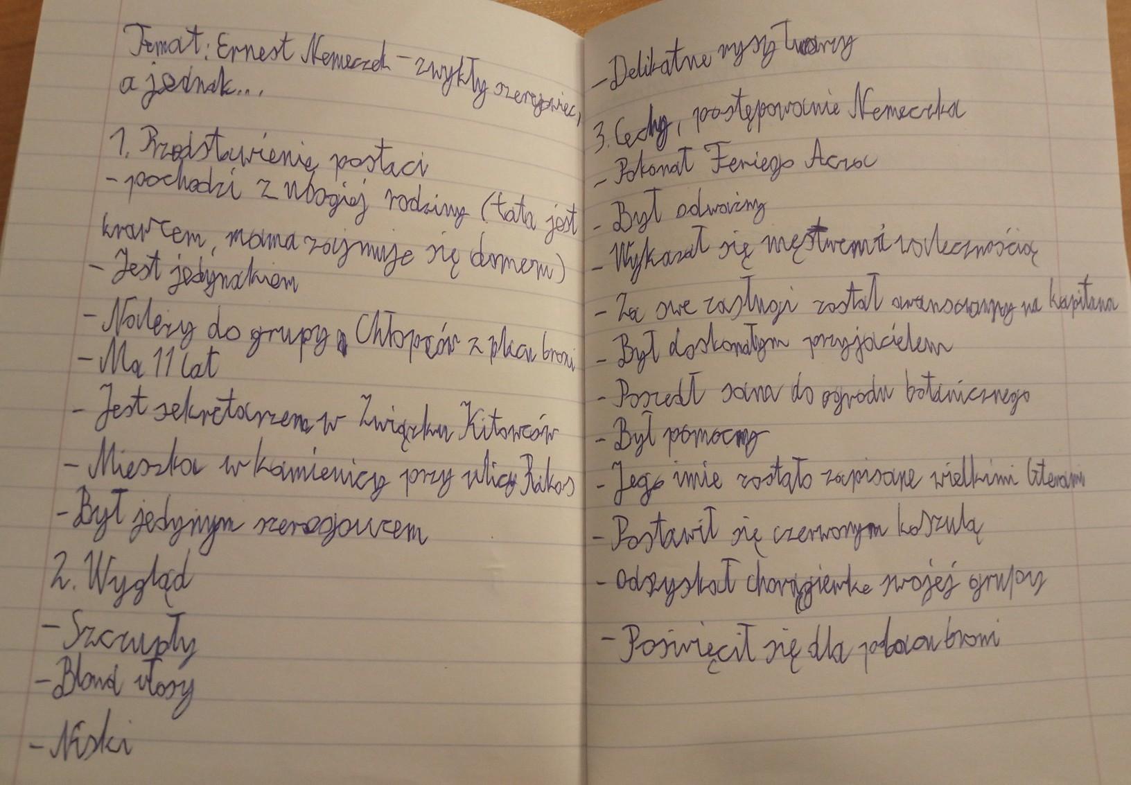 10 Cech Nemeczka Z Uzasadnieniem