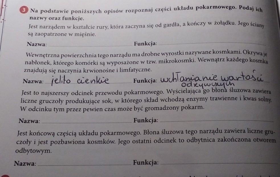 Na podstawie poniższych opisów rozpoznaj części układu pokarmowego Na Podstawie Ponizszych Opisow Rozpoznaj Czesci Ukladu Pokarmowego