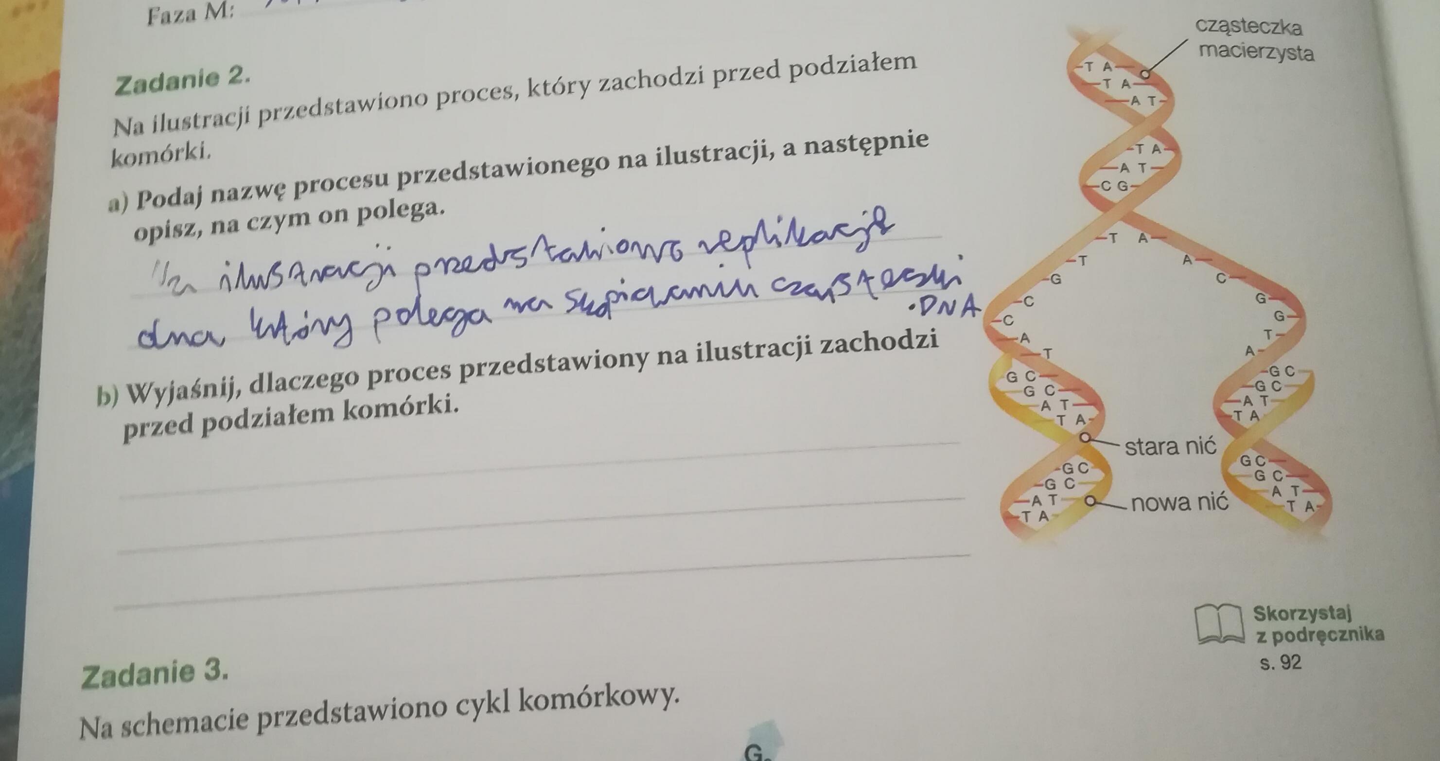 Wyjasnij Dlaczego Slynny Naukowiec Zostal Przedstawiony Na Rysunku Jako Malpa