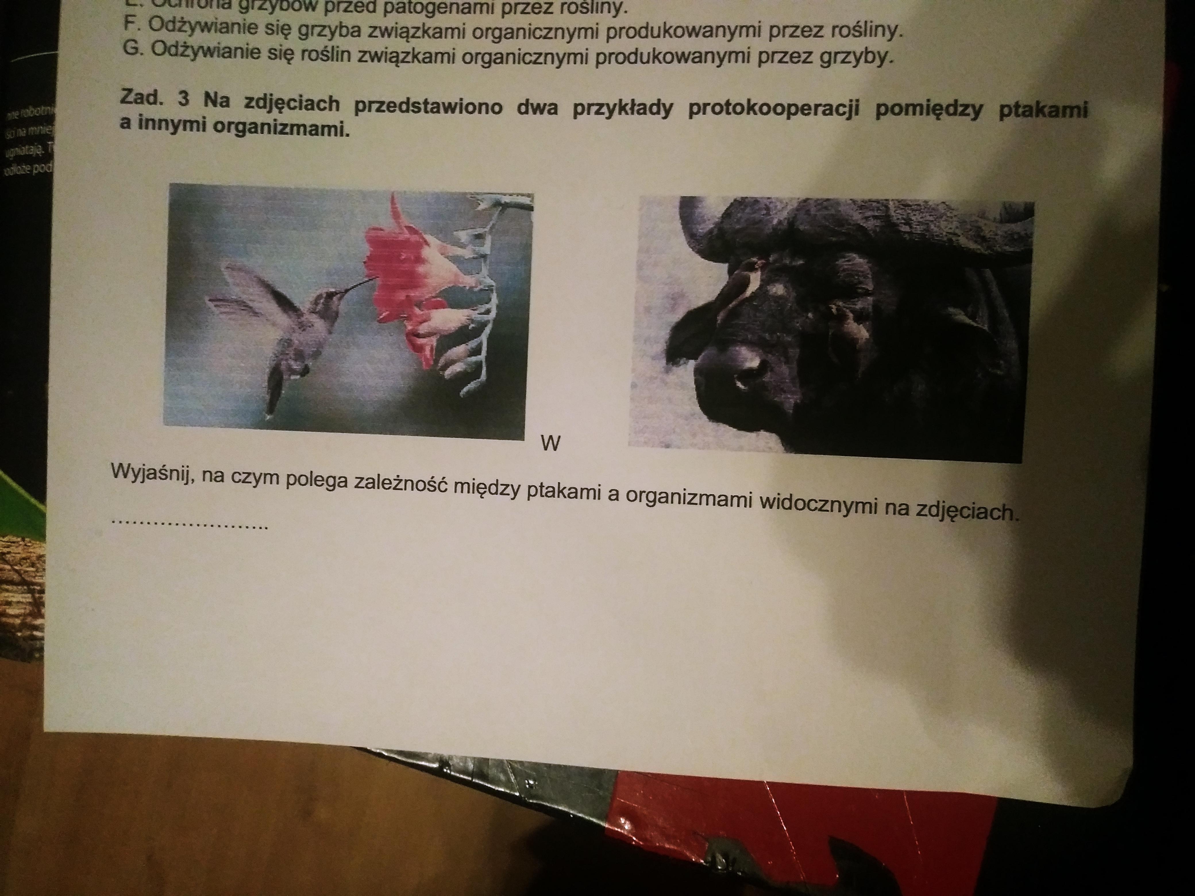 Na Zdjeciach Przedstawiono Dwa Przyklady