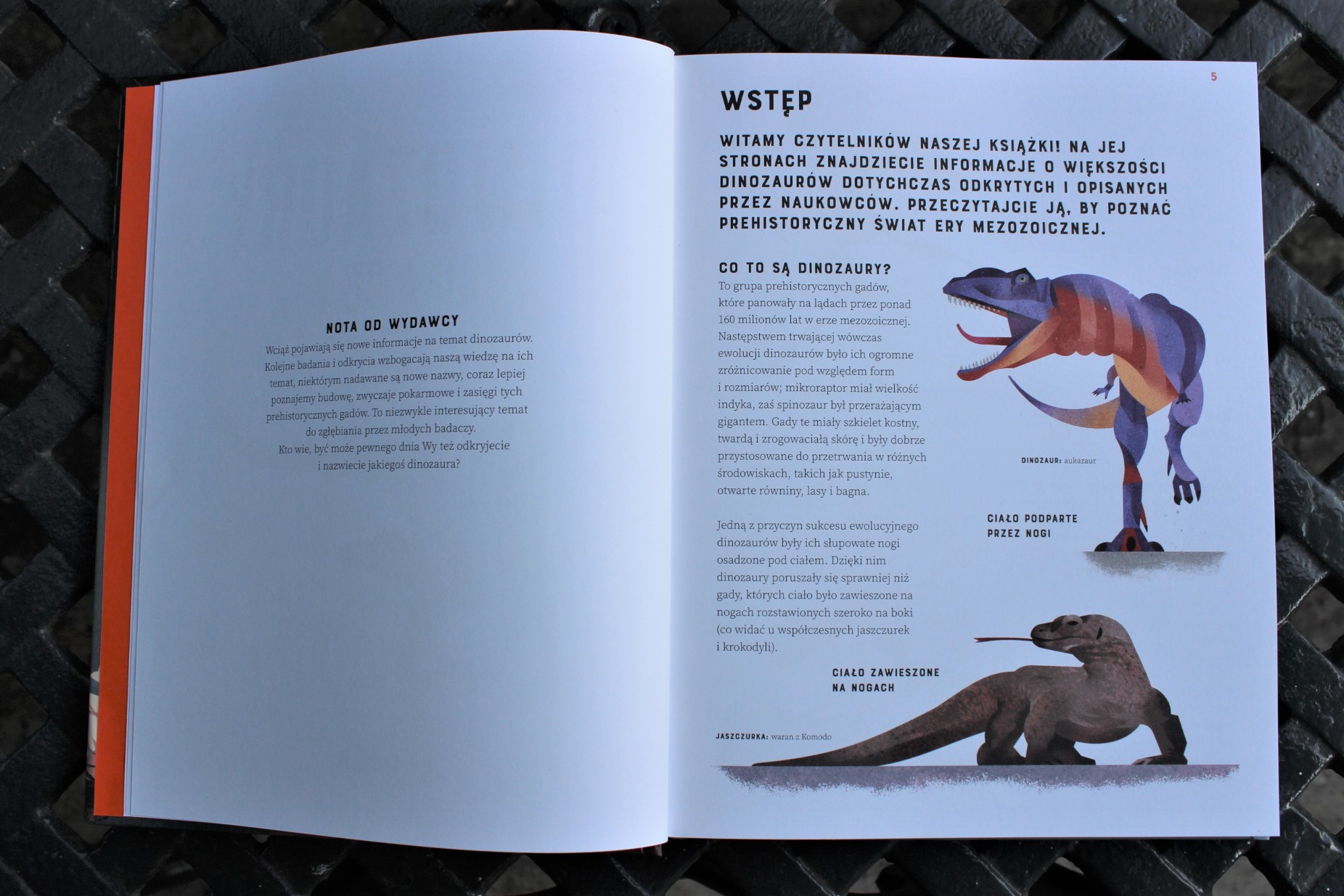 Najlepsza książka o dinozaurach - "Dinozaury od A do Z" - Zabawkator Ksiazka O Dinozaurach Dla 6 Latka