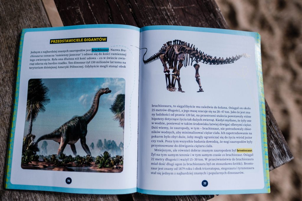 Ksiazka O Dinozaurach Dla 4 Latka