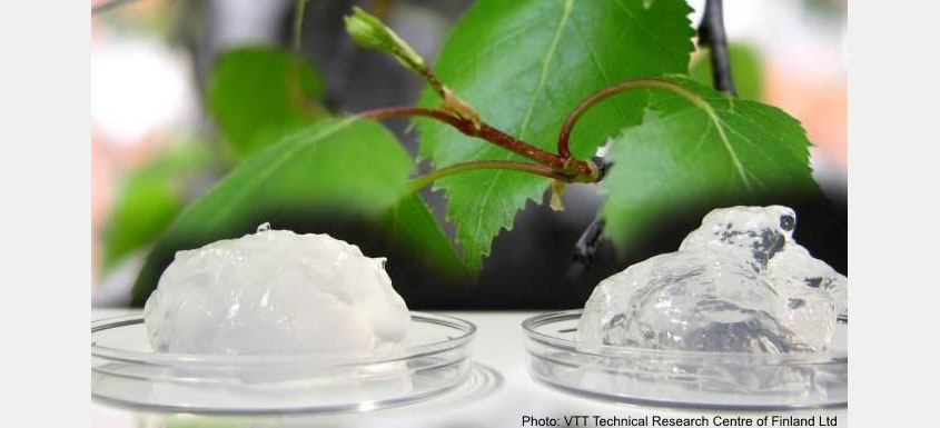 Nanocellulose 101 | FOR/Maine Nanocellulose A Tiny Fiber With Huge Applications