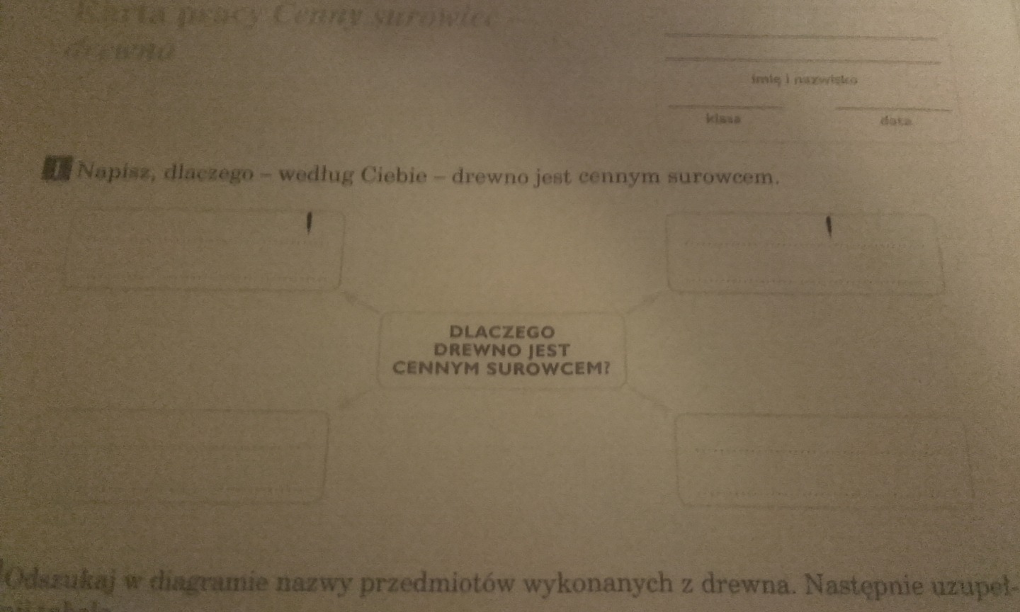 Dlaczego Drewno Jest Cennym Surowcem