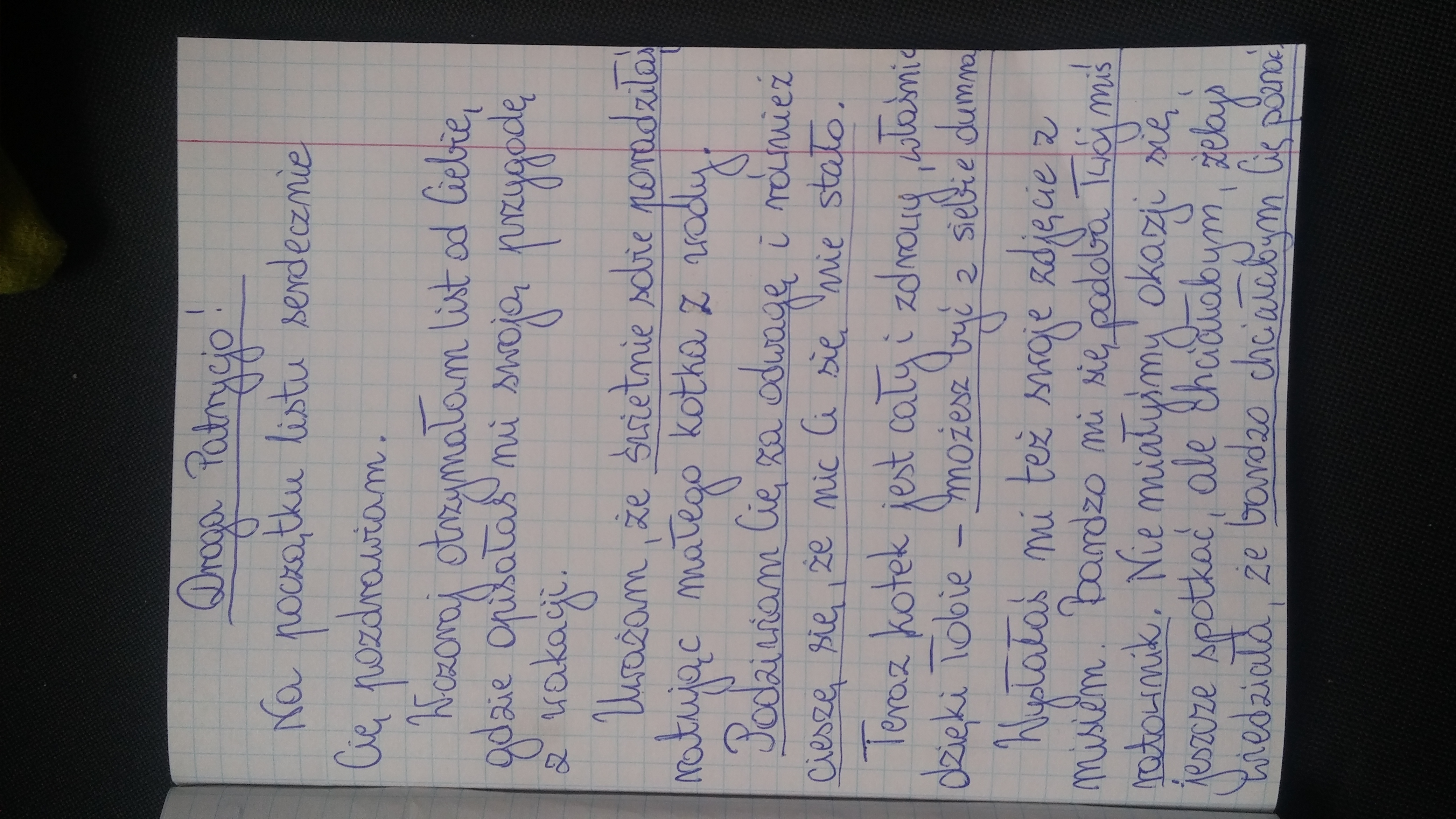 Napisz list do Patrycji.skorzystaj z podanego w ramce słownictwa Napisz List Do Demeter W Imieniu Bogów Lub Ludzi