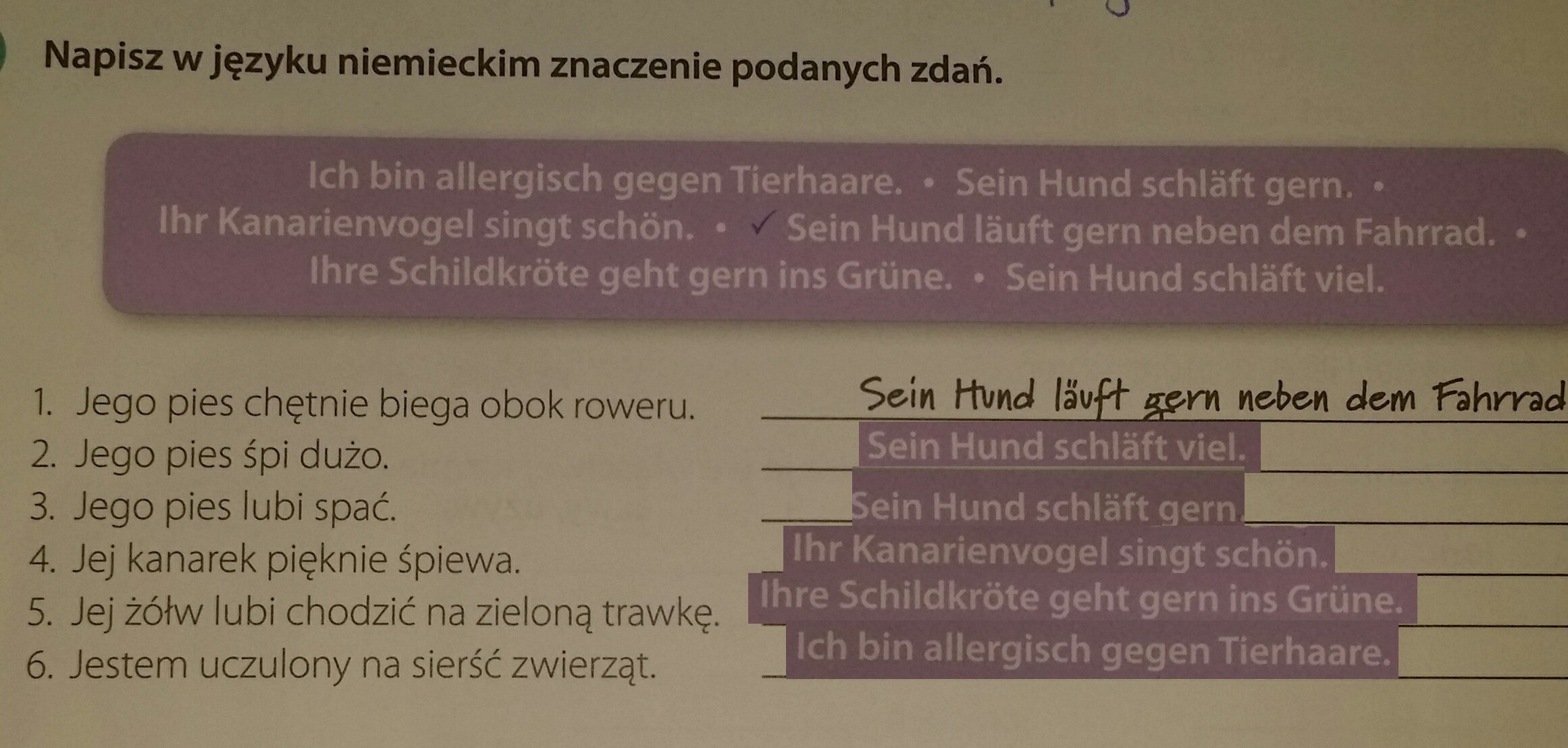 napisz w języku niemieckim znaczenie podanych zdań - Brainly.pl Podaj Znaczenie Podanych Rzeczowników W Języku Niemieckim Napisz Te Wyrazy