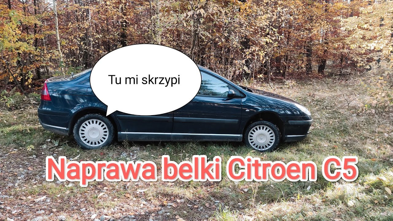 Litery Przyłubscy Pdf Za Darmo