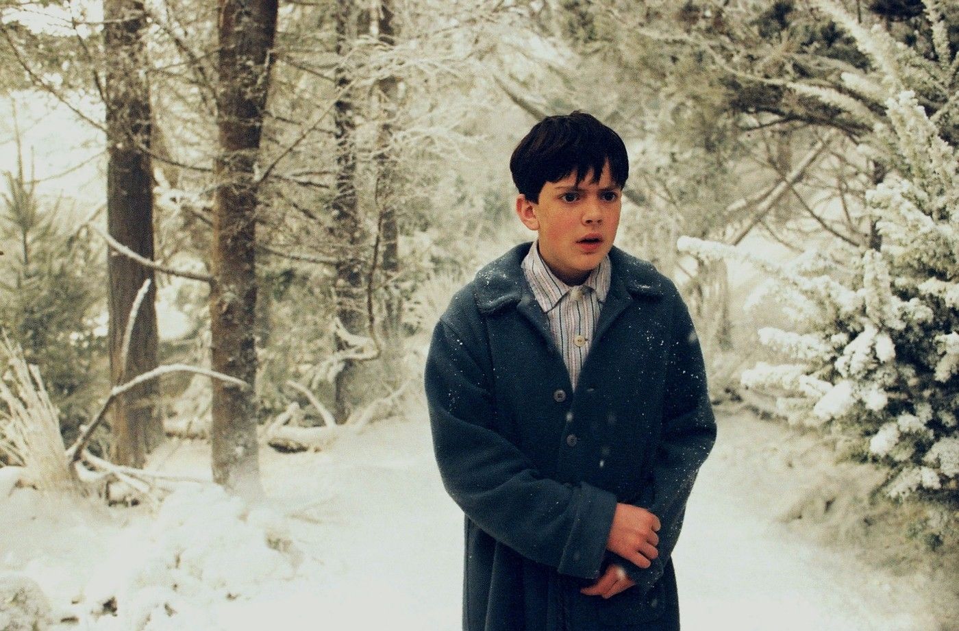 Jak Wygląda Edmund Z Opowieści Z Narnii