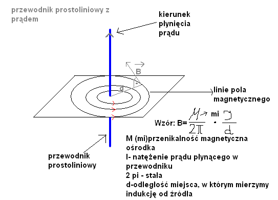 narysuj linie pola magnetycznego wytworzonego przez przewodnik Proton I Elektron Wpadaja W Obszar Tego Samego Jednorodnego Pola Magnetycznego
