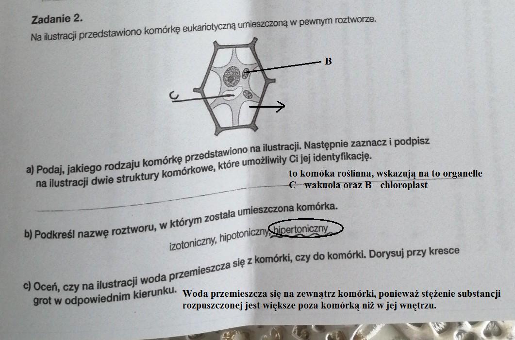 Narysuj Pioro Okresl Jakiego Jest Rodzaju I Podpisz Jego Elementy