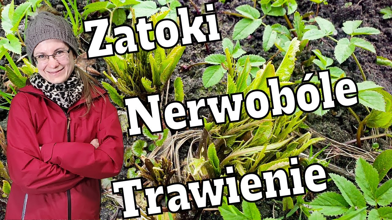 Naturalny Antybiotyk - Na Zatoki, Grzybice. Poprawi Trawienie - YouTube Antybiotyk Na Zapalenie Górnych Dróg Oddechowych