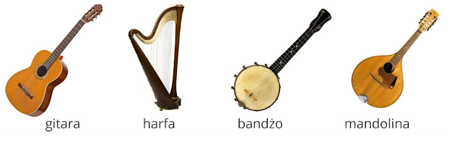 Instrument Strunowy Szarpany Który Posiada 46 Kolorowych Stron