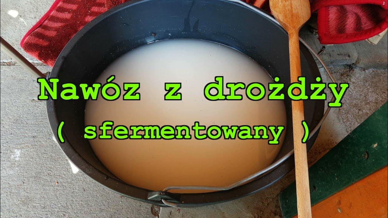 Sfermentowany Napój Z Mleka Klaczy
