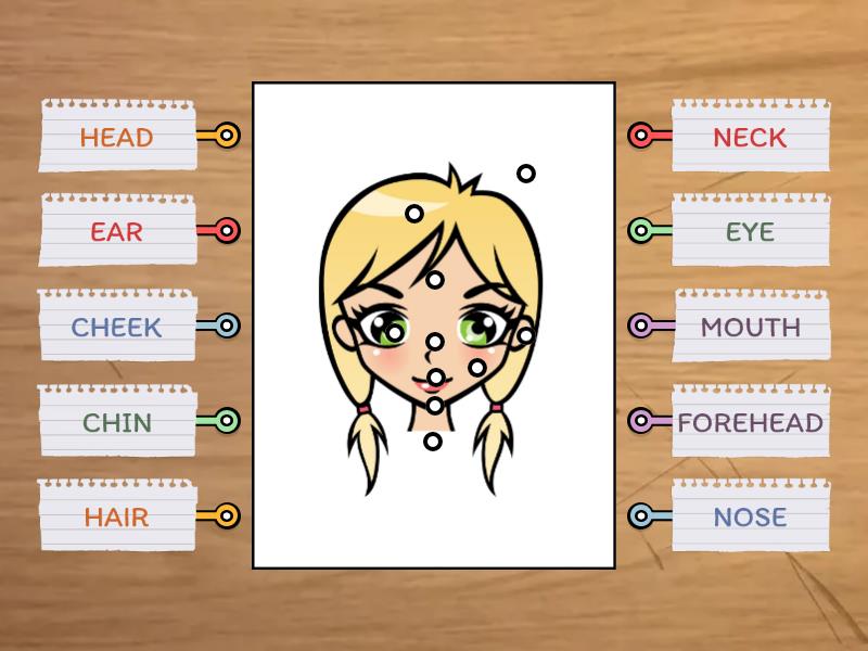 NEA2 - FACE - Labelled diagram New English Adventure 2 My Body And Face