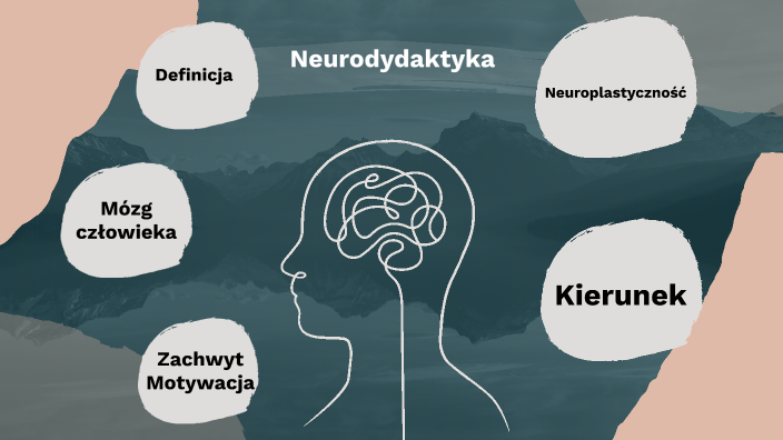 Paradygmaty Dydaktyki Myśleć Teorią O Praktyce Pdf Chomikuj