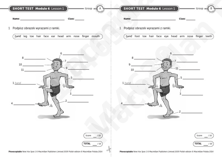 New Hot Spot 4 Module 6 Short Test Lesson | PDF | Human Anatomy | Limbs New Hot Spot Klasa 6 Testy Pdf