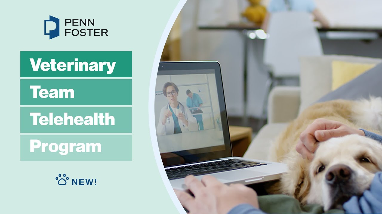New! Veterinary Telehealth Certificate | Penn Foster online program Vet 102 Final Exam Penn Foster