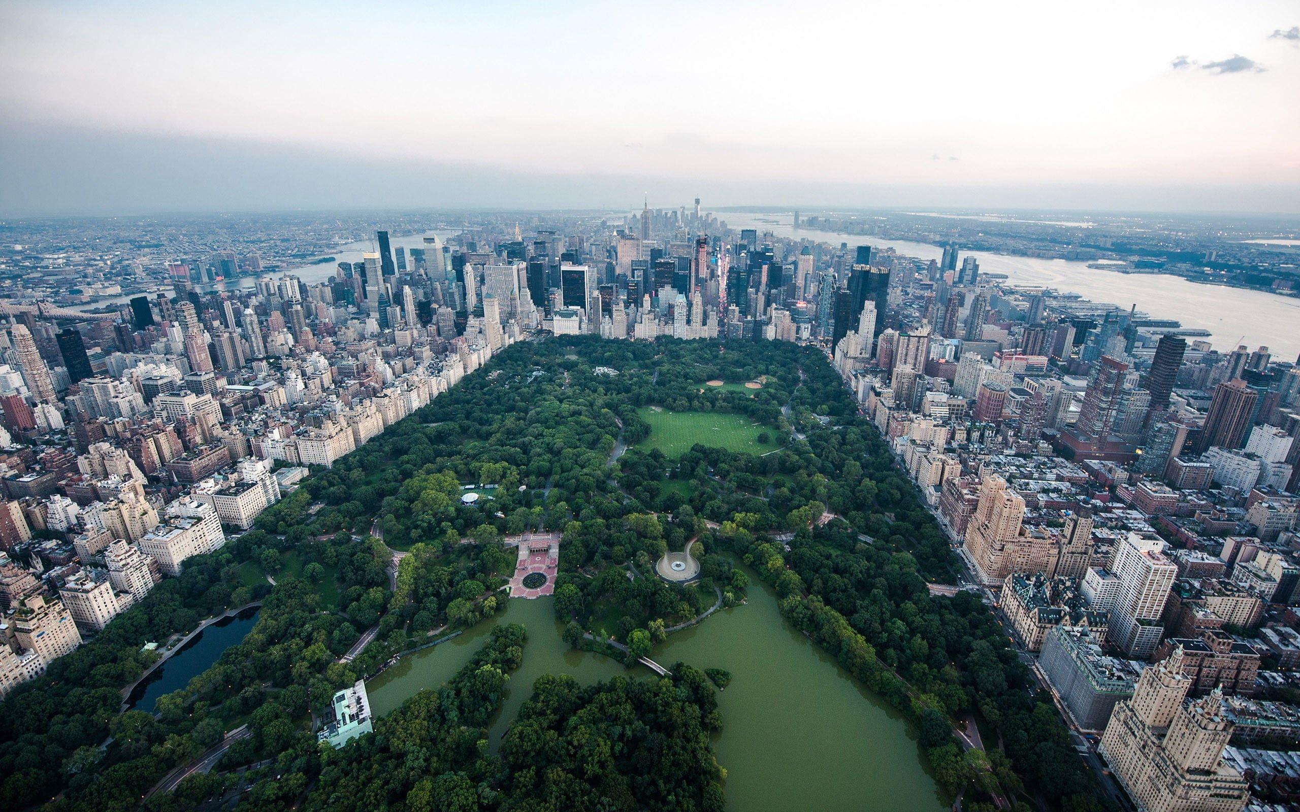 New York Central Park Wallpaper