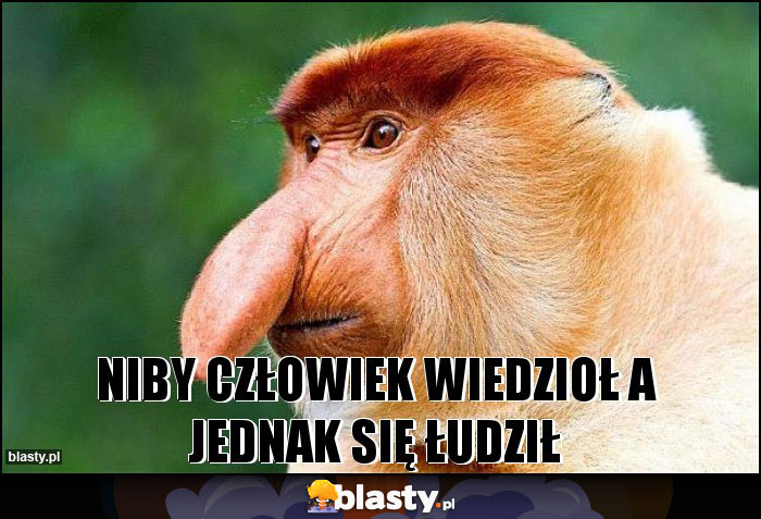 Niby Czlowiek Wiedzial A Jednak Sie Ludzil