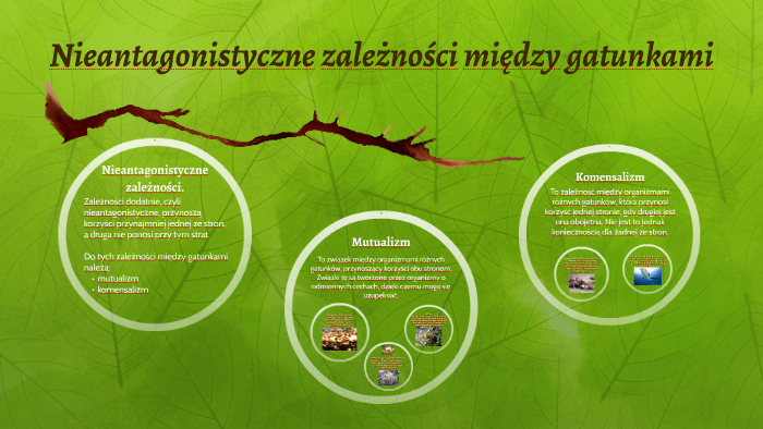Nieantagonistyczne Zależności Między Gatunkami Prezentacja