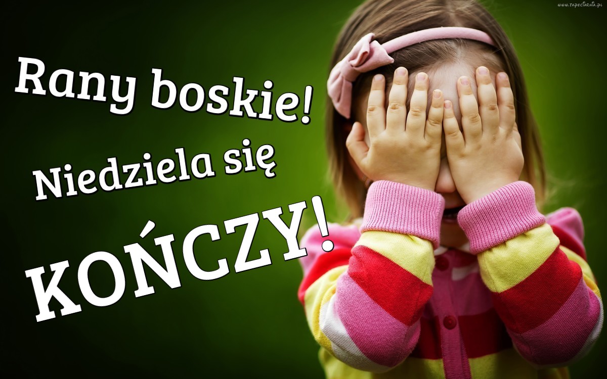 Wiersz Konczy Sie Stwierdzeniem Nie Dam Sie