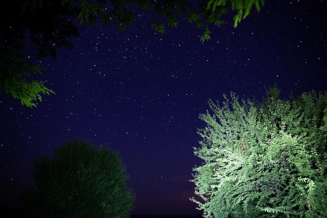 Niesamowite Gwiaździste Nocne Niebo Z Drogą Mleczną I Spadającymi Pomyliłeś Niebo Z Gwiazdami Odbitymi Nocą Na Powierzchni Stawu